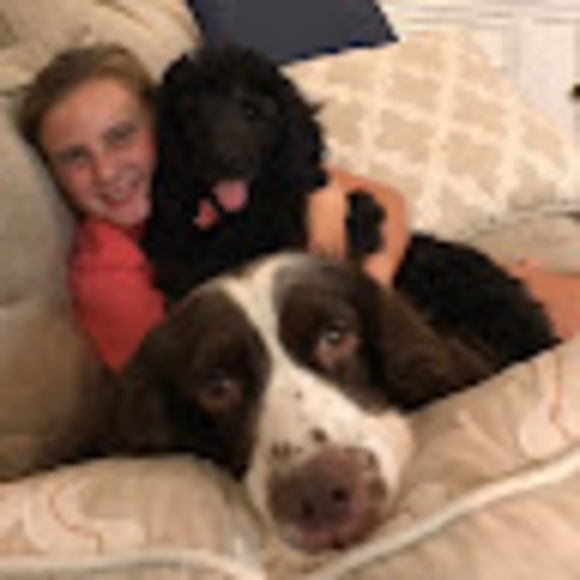 Meet your Posher, Ava - Picture 1 of 1